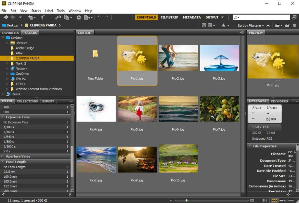 how to show focus point in adobe bridge cs6