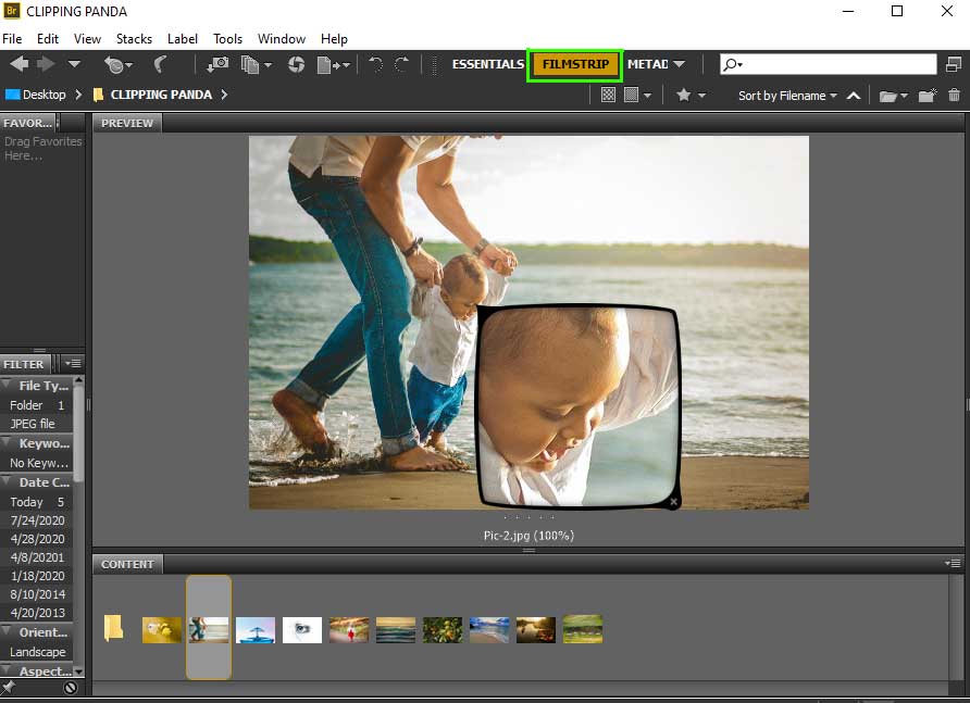 using adobe bridge cs3