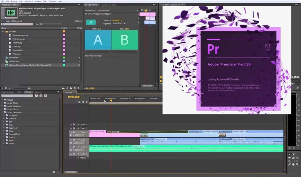 adobe pr cs6