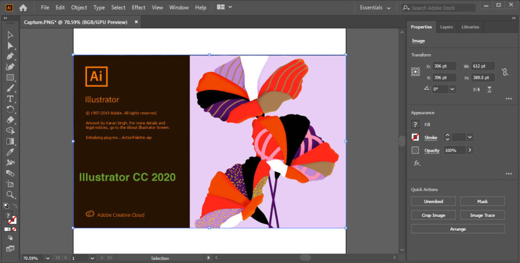 adobe illustrator 2020 download crackeado