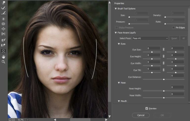 liquify filter photoshop free download