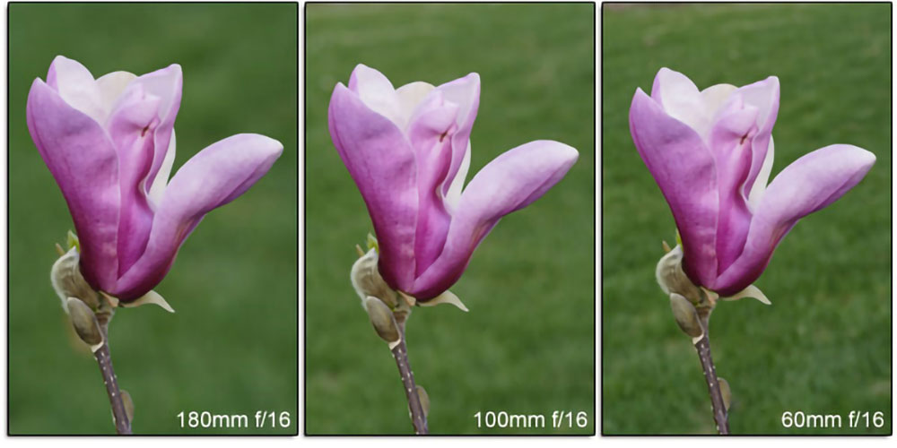 Longer focal length for blurred background