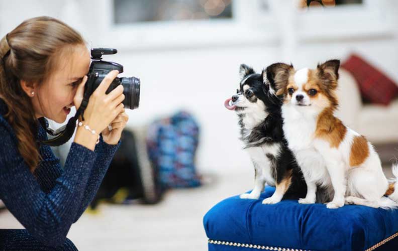 shooting dog from eye level