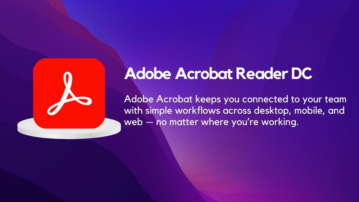 difference between adobe reader and acrobat
