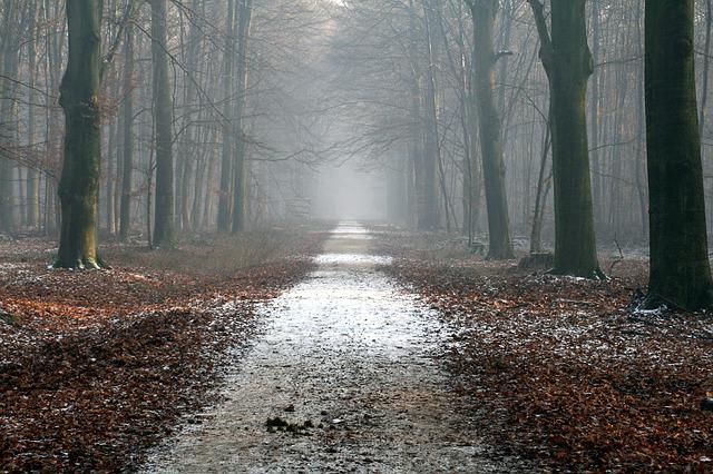 Lichtspur-Fotografie-Ideen