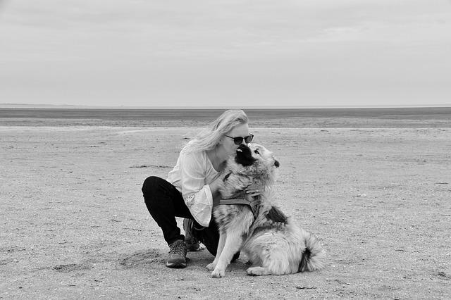 Fotoshooting mit Haustieren